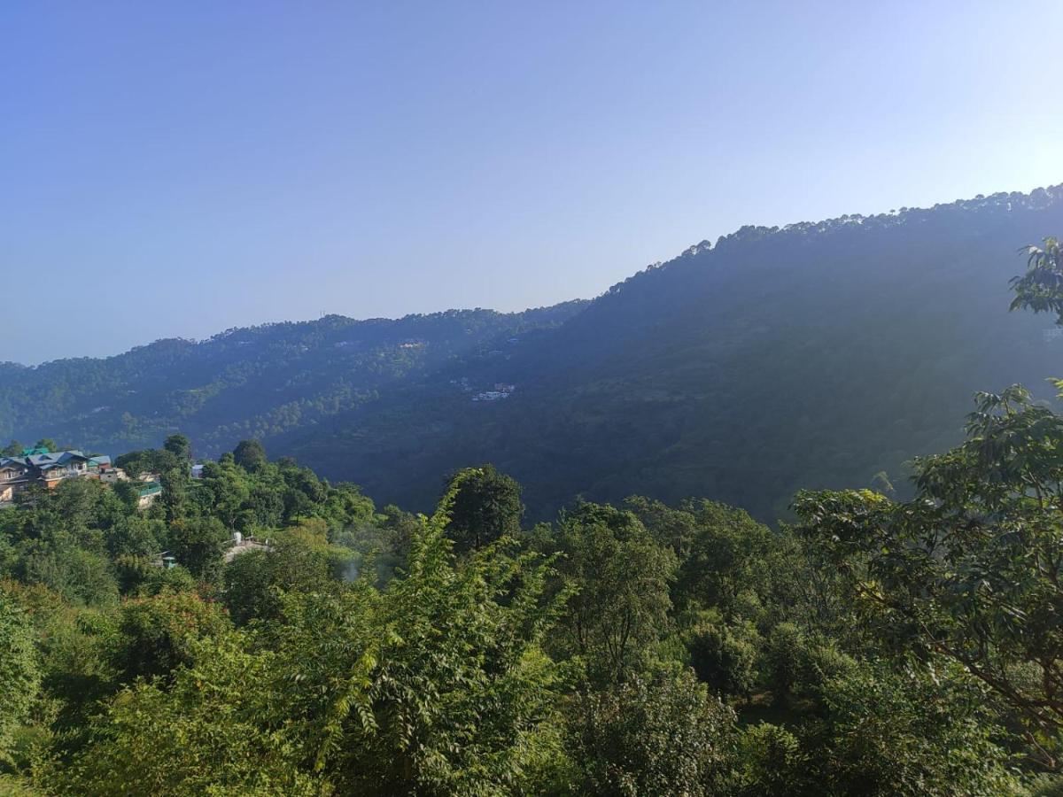 Idyllic Private Cottage W/King Bed + Mountain View Kasauli Zewnętrze zdjęcie