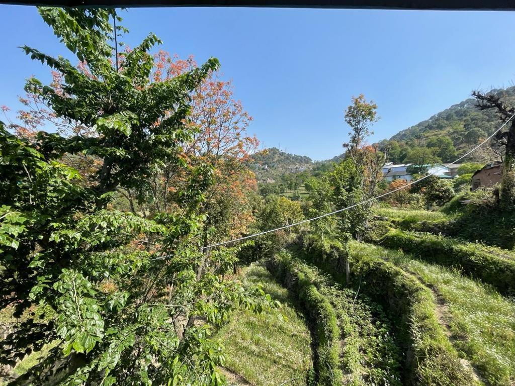 Idyllic Private Cottage W/King Bed + Mountain View Kasauli Zewnętrze zdjęcie