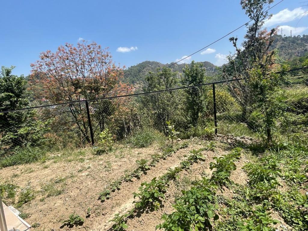 Idyllic Private Cottage W/King Bed + Mountain View Kasauli Zewnętrze zdjęcie